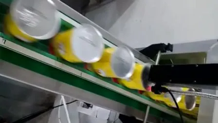 V98 Industrial Cij Pet Bottles Expiry Date Inkjet Printer Supplier